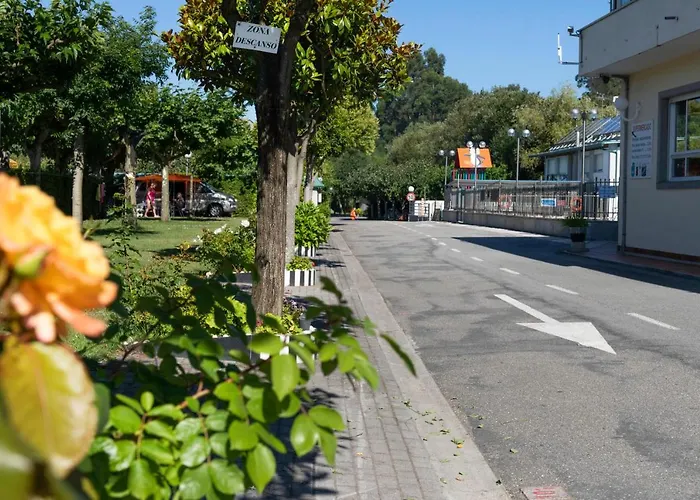 Baltar Kamp alanı Vera