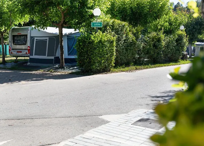 Baltar Kamp alanı 3*